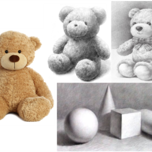 Build and Draw a Bear! Gr.5 -12 (10 students)